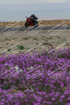 media/Jan-14-2023-SoCal Trackdays (Sat) [[497694156f]]/Turn 14 Exit Bloomig (145pm)/